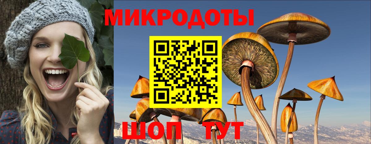 Псилоцибиновые грибы Psilocybine cubensis Королёв